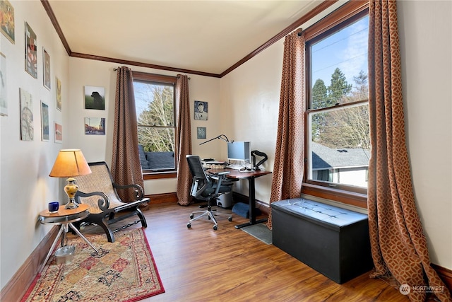 home office with hardwood / wood-style flooring and ornamental molding