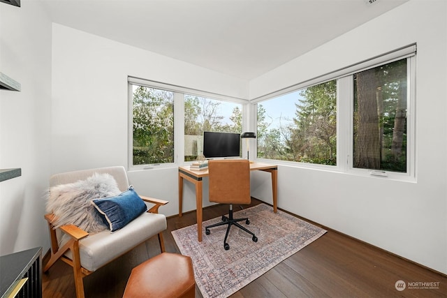 home office featuring hardwood / wood-style flooring and a wealth of natural light