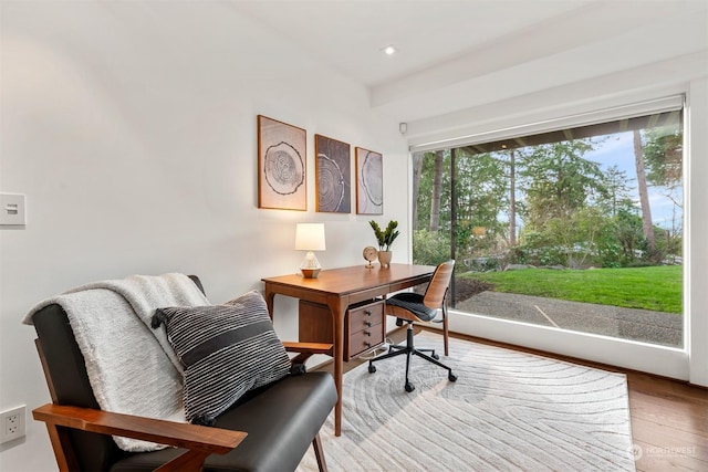 office space with a healthy amount of sunlight and hardwood / wood-style floors