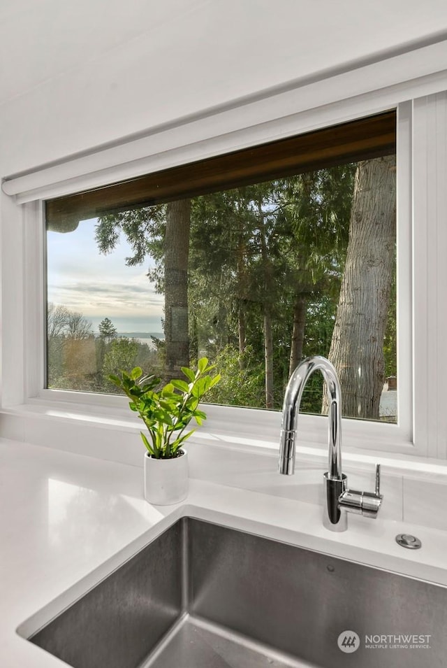 interior details featuring sink