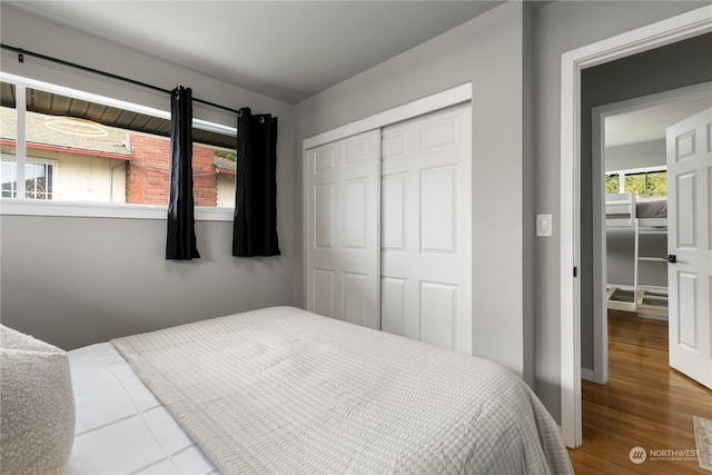 bedroom with a closet and hardwood / wood-style flooring