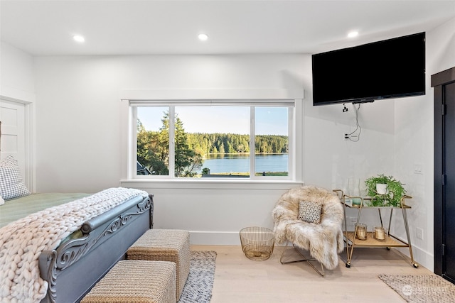 bedroom with wood-type flooring