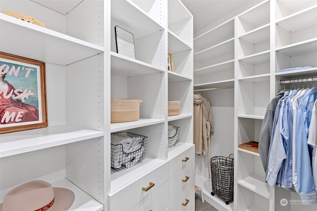 view of spacious closet