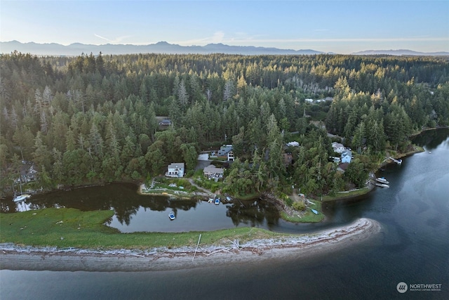 bird's eye view featuring a water and mountain view