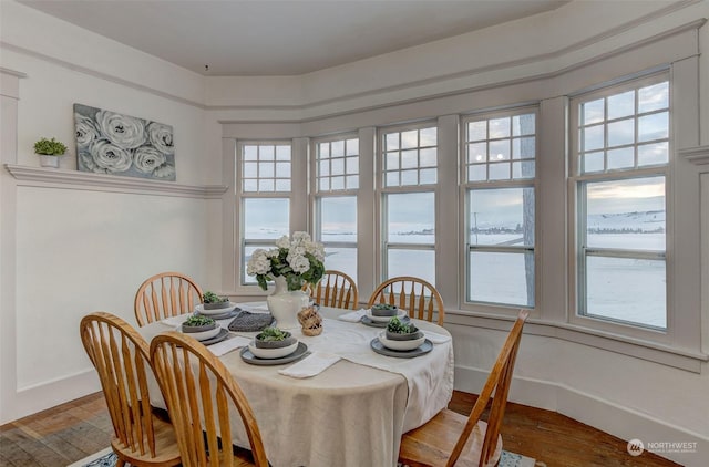 dining area with hardwood / wood-style flooring and plenty of natural light