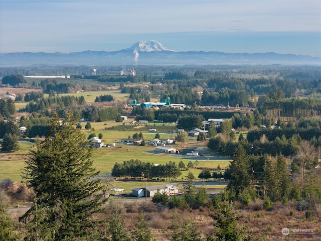 drone / aerial view with a mountain view