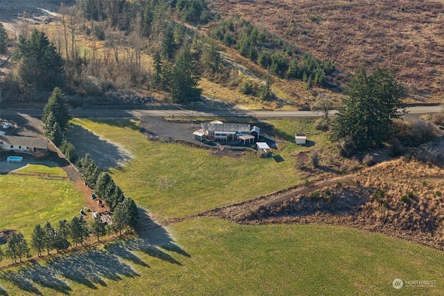 bird's eye view