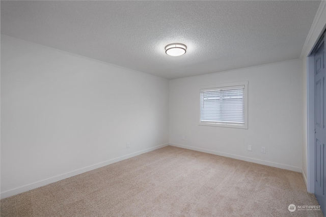 carpeted empty room featuring a textured ceiling