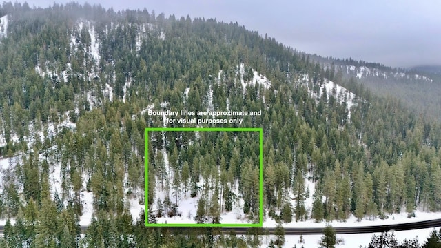 0 US-2, Lake Wenatchee WA, 98826 land for sale