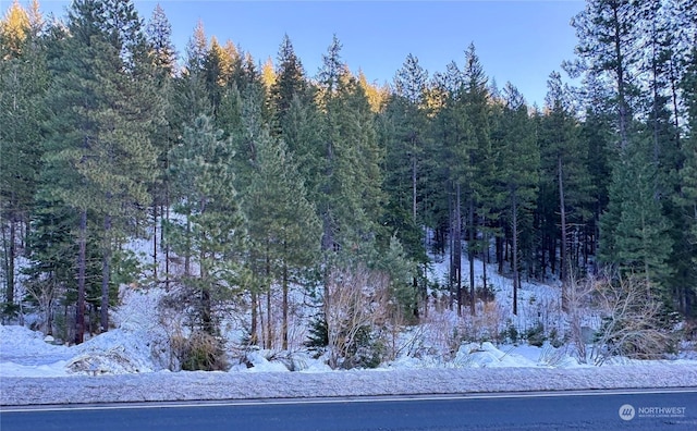 0 US-2, Lake Wenatchee WA, 98826 land for sale