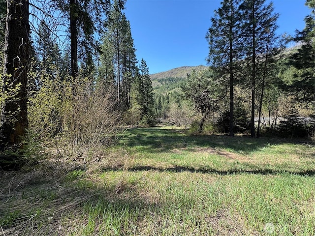 0 US-2, Lake Wenatchee, WA 98826