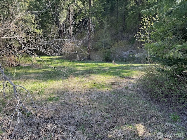0 US-2, Lake Wenatchee, WA 98826
