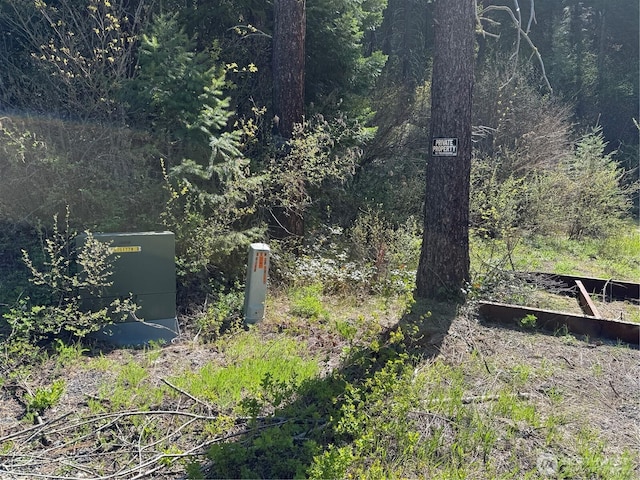0 US-2, Lake Wenatchee, WA 98826