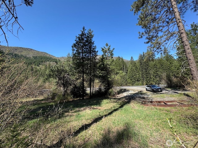 0 US-2, Lake Wenatchee, WA 98826