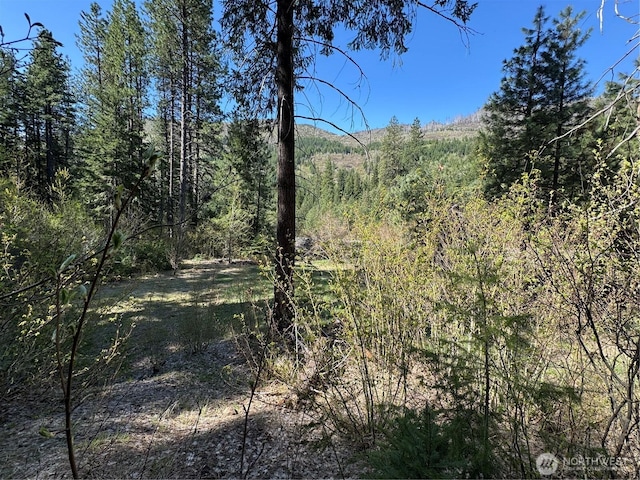 0 US-2, Lake Wenatchee, WA 98826