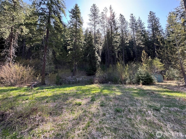 0 US-2, Lake Wenatchee, WA 98826