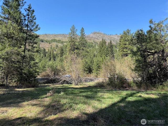 0 US-2, Lake Wenatchee, WA 98826