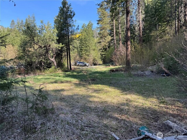 0 US-2, Lake Wenatchee, WA 98826