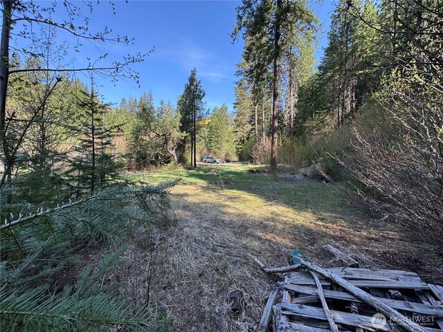 0 US-2, Lake Wenatchee, WA 98826