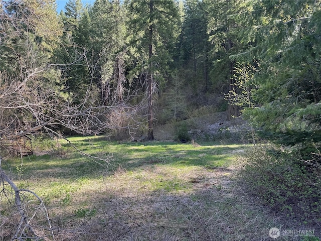 0 US-2, Lake Wenatchee, WA 98826