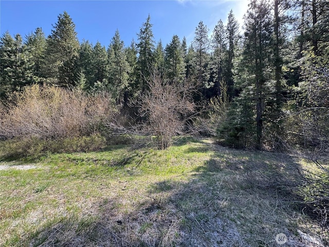0 US-2, Lake Wenatchee, WA 98826