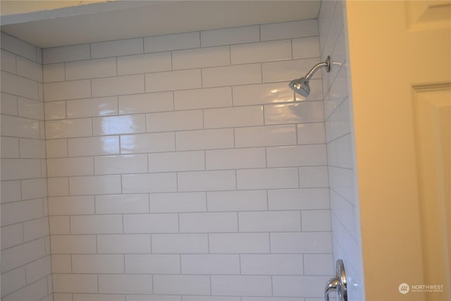 room details with tiled shower