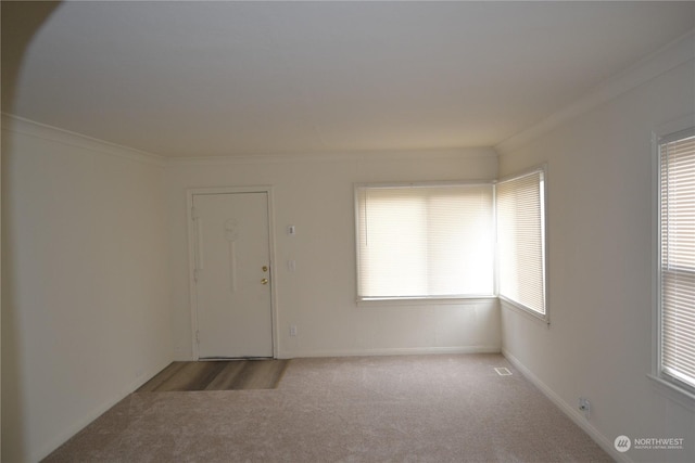 carpeted empty room featuring ornamental molding and a healthy amount of sunlight