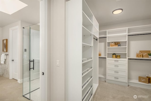 walk in closet featuring light colored carpet