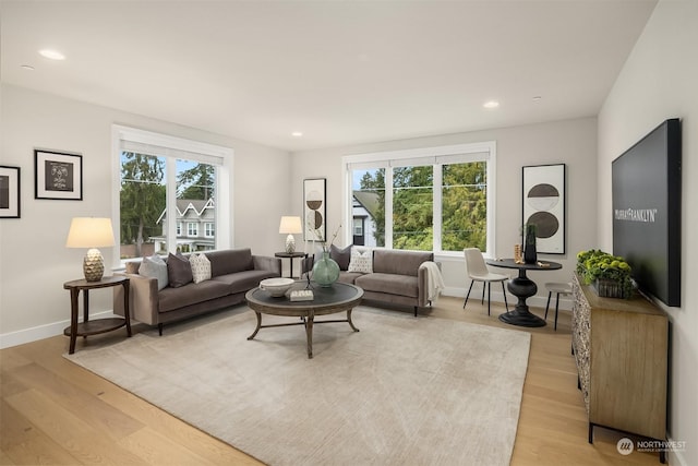 living room featuring light hardwood / wood-style flooring