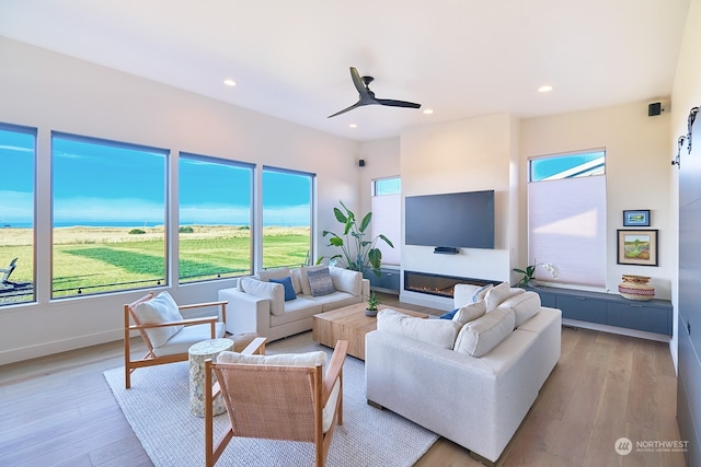 living room featuring ceiling fan and light wood-type flooring