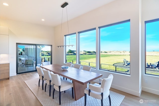 dining space with light hardwood / wood-style floors and plenty of natural light