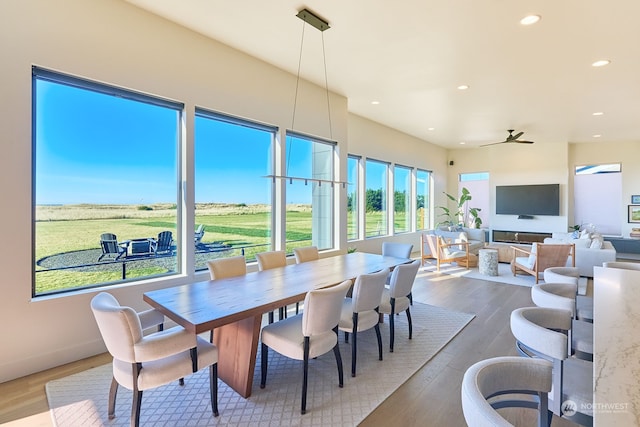 dining space featuring ceiling fan and hardwood / wood-style flooring