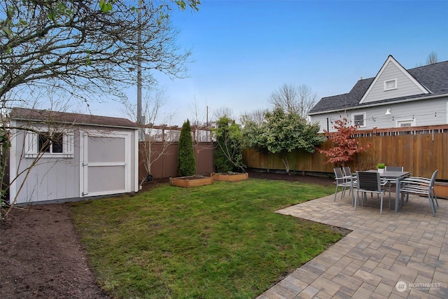 view of yard with a patio and a storage shed