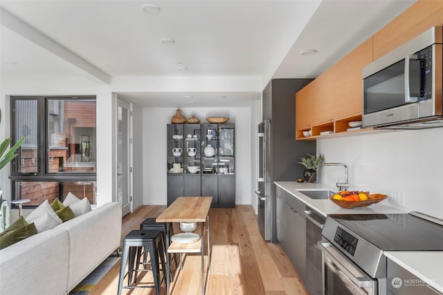 kitchen with stainless steel appliances, sink, and light hardwood / wood-style flooring