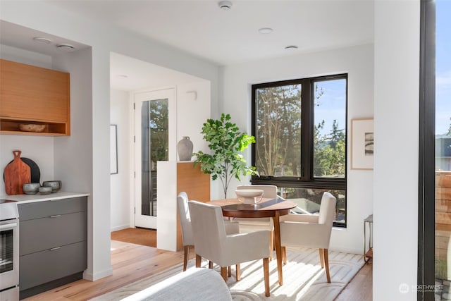 dining room featuring light hardwood / wood-style flooring