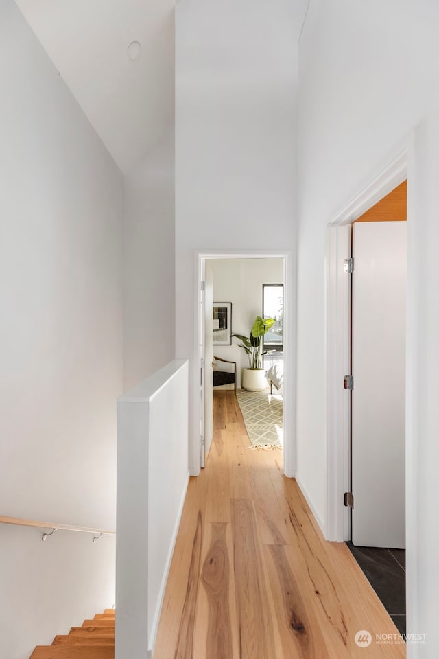 hallway featuring high vaulted ceiling and hardwood / wood-style floors