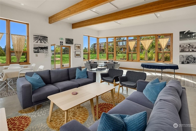 living room featuring a healthy amount of sunlight and beamed ceiling