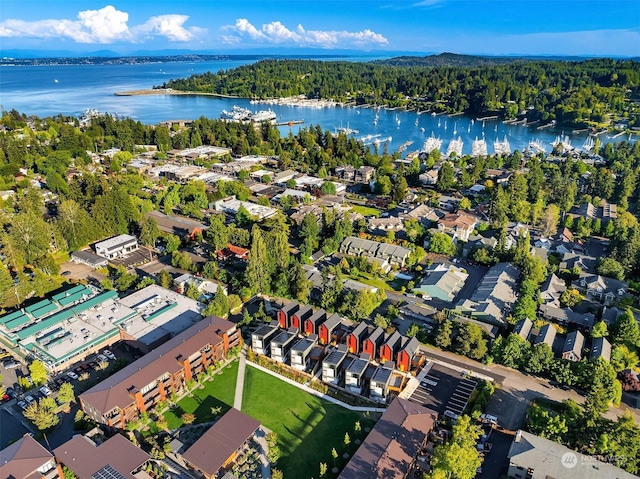 bird's eye view with a water view