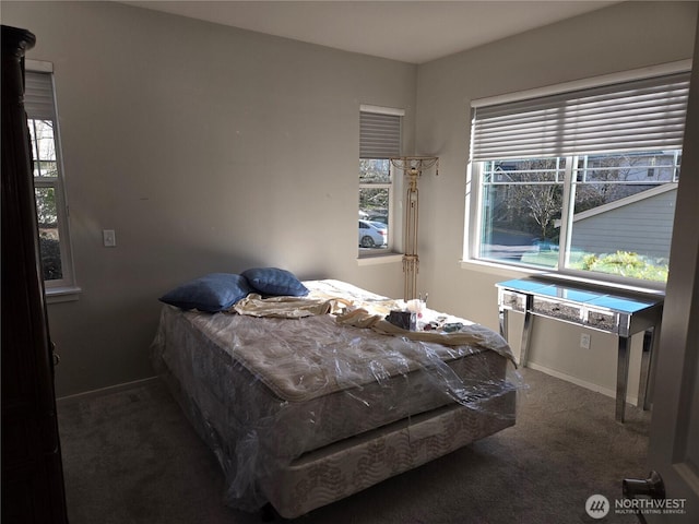 bedroom featuring multiple windows, carpet flooring, and baseboards