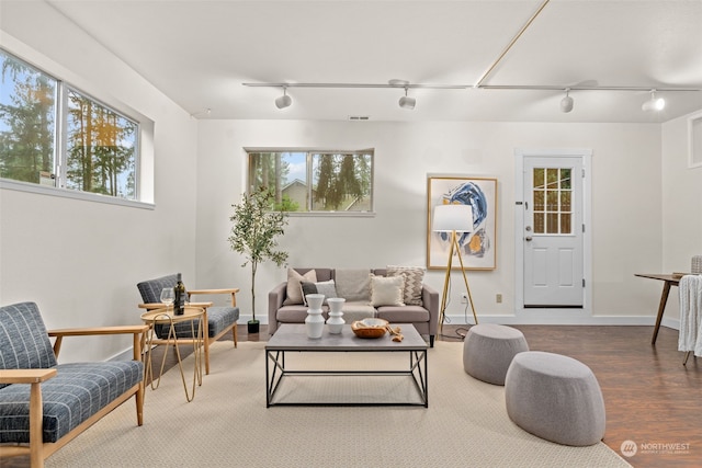 living room featuring track lighting and wood-type flooring