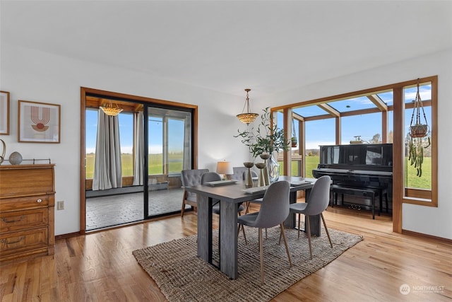 dining room with light hardwood / wood-style floors