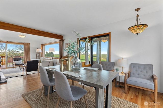 dining space with hardwood / wood-style flooring and a wealth of natural light