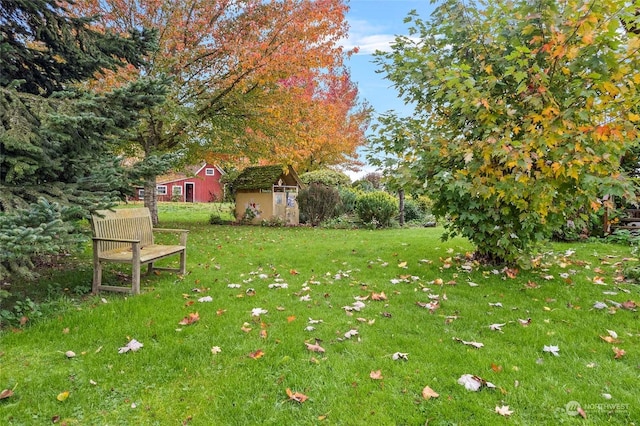 view of yard featuring a storage shed