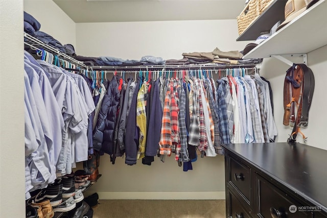 walk in closet featuring carpet