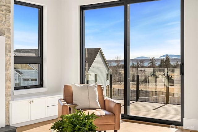 doorway to outside with a mountain view and wood finished floors