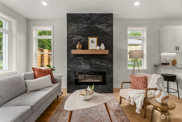 living area with hardwood / wood-style flooring and a premium fireplace