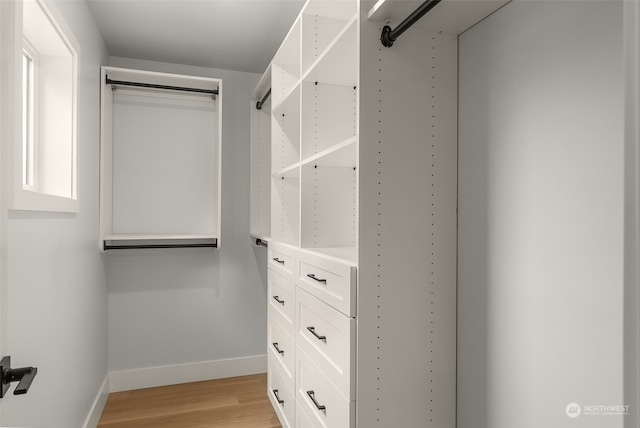 walk in closet featuring light wood-type flooring