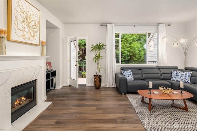 living room with a fireplace and dark hardwood / wood-style flooring