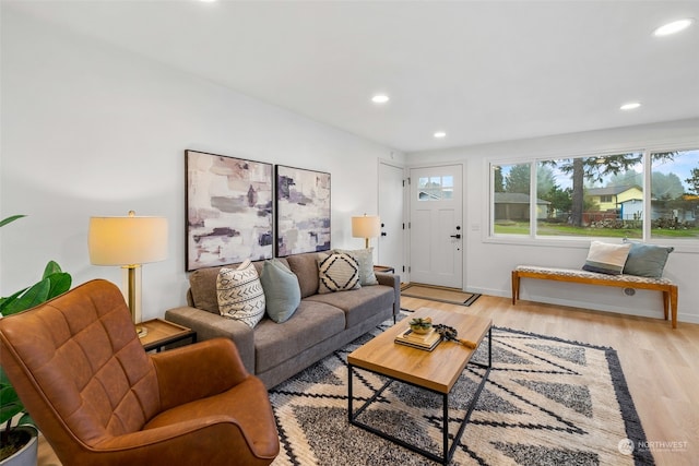 living room featuring light hardwood / wood-style floors