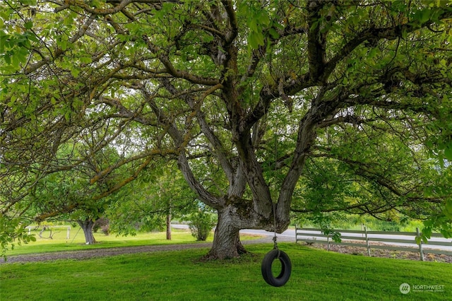 view of property's community featuring a lawn